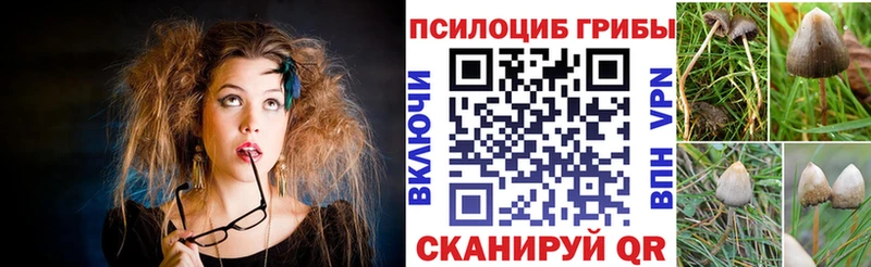 Купить где  Урень  Галлюциногенные грибы MAGIC MUSHROOMS 